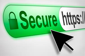 Blog Secure Orthopreneur Internet Marketing